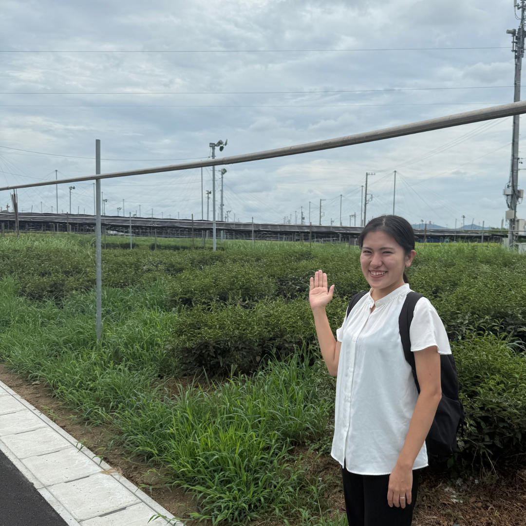 Visiting a Tea Farm — Where Matcha Truly Begins