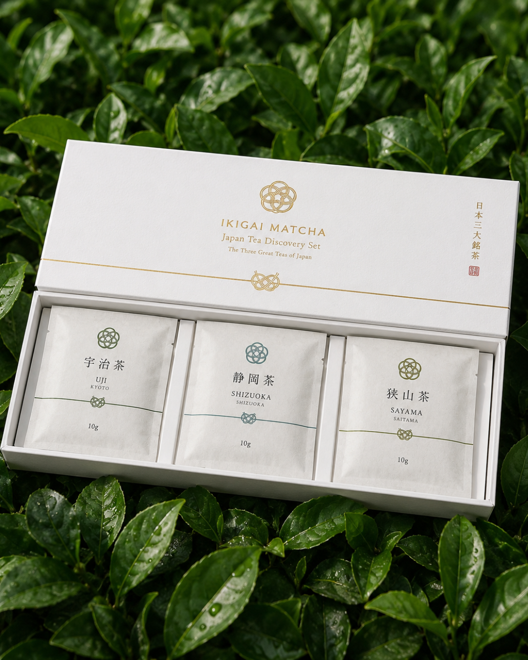 Japanese Matcha Discovery Set