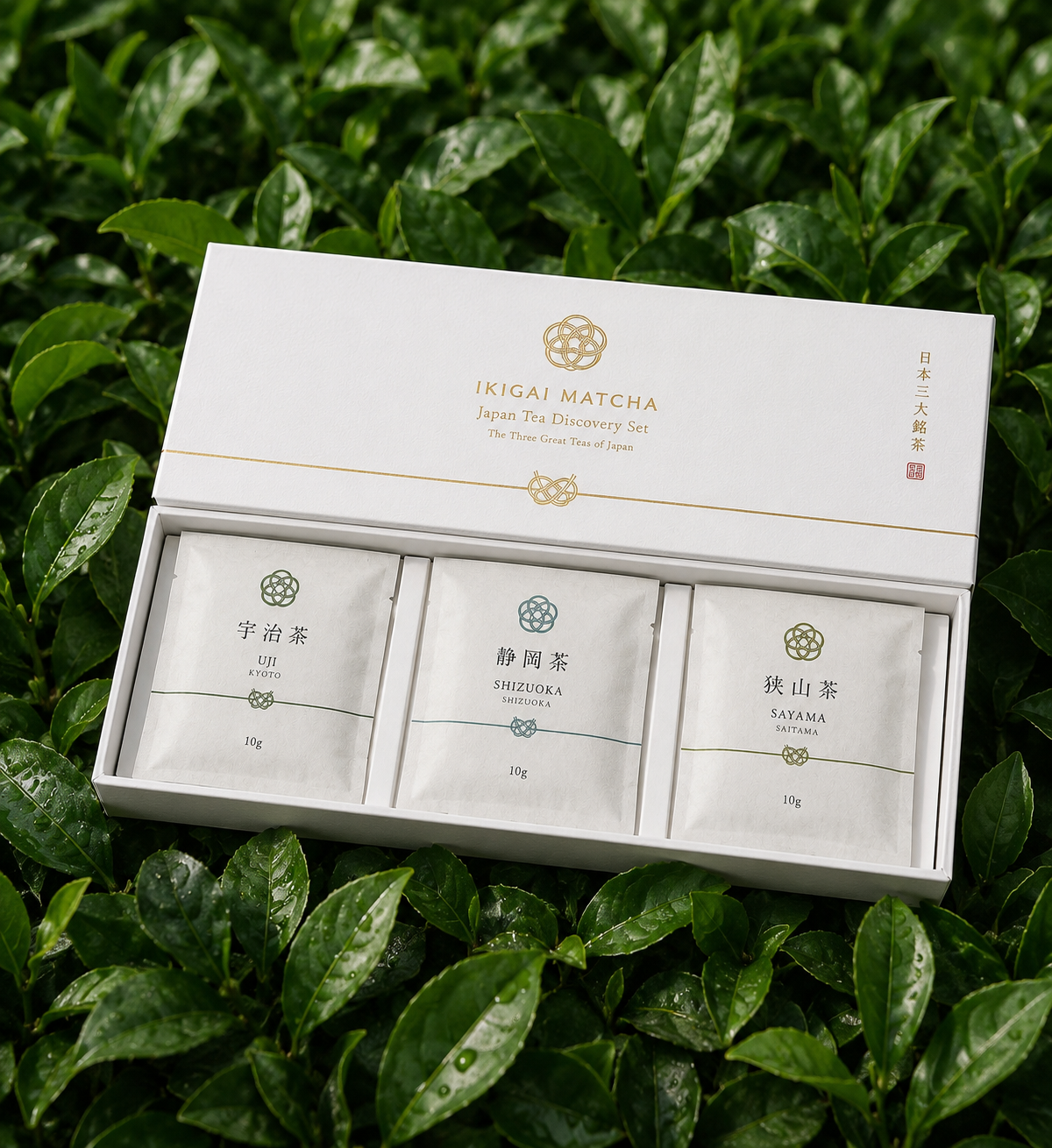Japanese Matcha Discovery Set